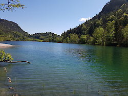 Urlaubszeit im Bayerischen Wald